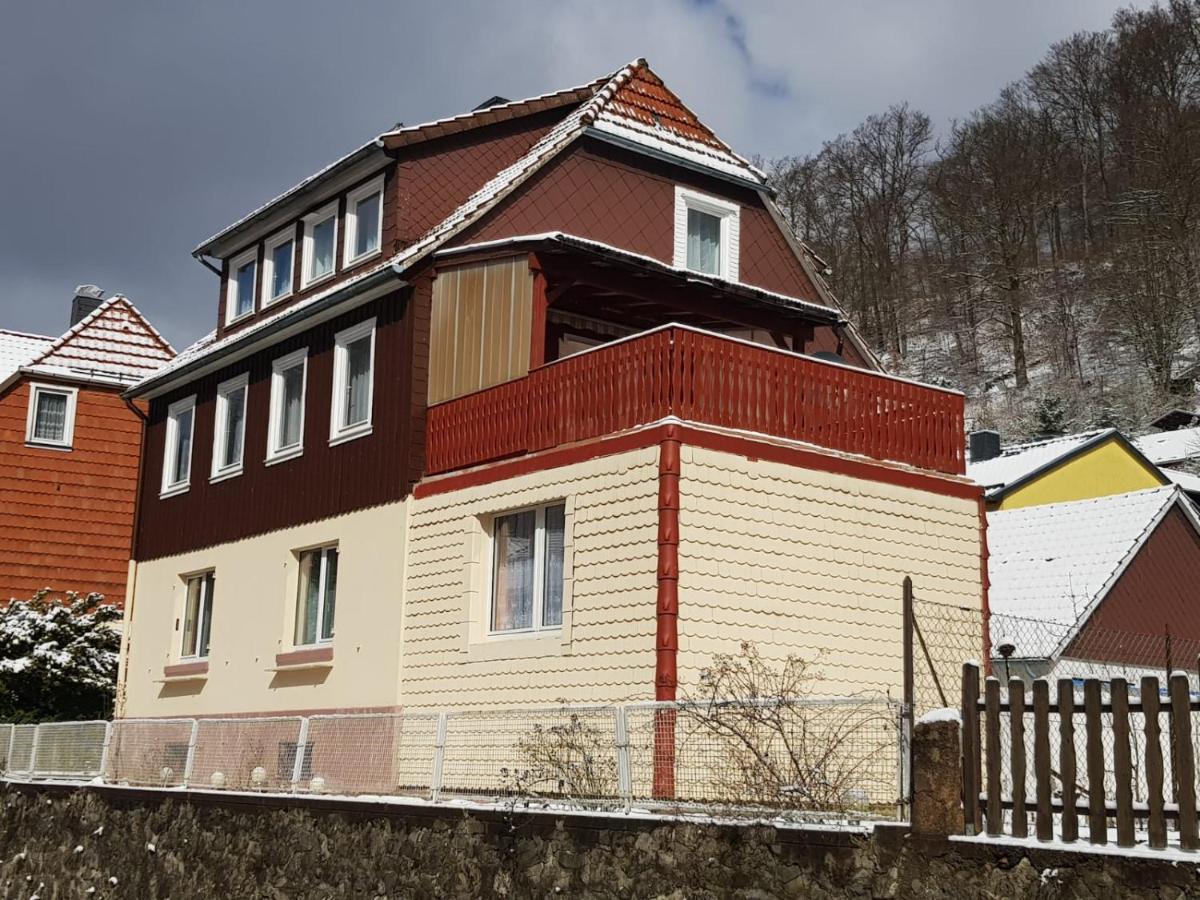 Haus Am Fluss Mit Wunderschoener Dachterrasse Mit Flussblick ,Garten Und Grill Zorge Exterior foto
